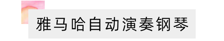 活动报道 | “科技助力，跨越时空”，小鹿纯子携手刘明康共享中日音乐盛宴